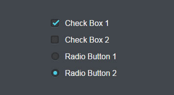 简单的CSS3复选框和单选按钮